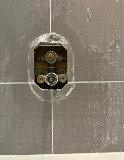 shower temp valve2 image
